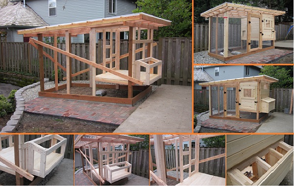 chicken-coop-projects-1