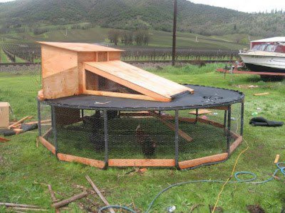 chicken-coop-projects-11