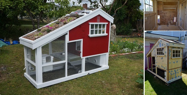 chicken-coop-projects-2