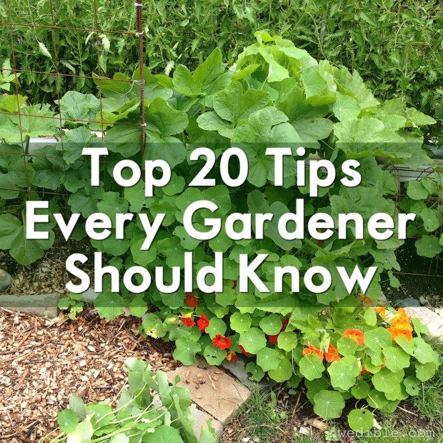 Top-20-Garden-Tips